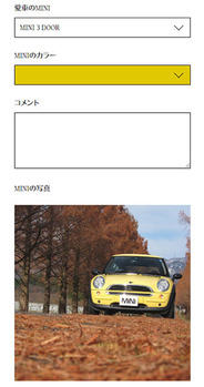 MINI OP 002