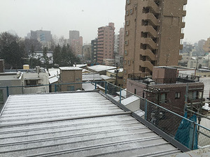 雪の編集部01
