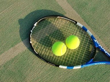 テニスコートの種類 カーペットコート（室内コート） : テニスって面白い