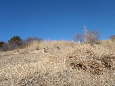 20130110kaya1