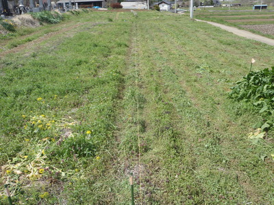 P4210680