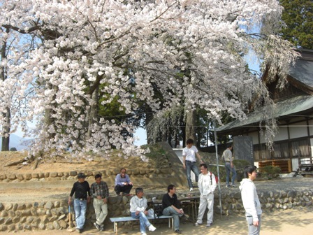 八ヶ岳yesファームblog 地域でお花見 八ヶ岳yesファームblog 地域でお花見