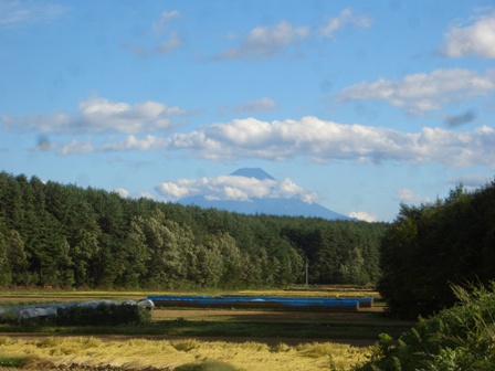 9ac80156.jpg