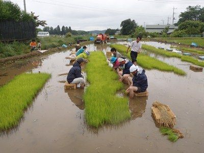 240617taue07