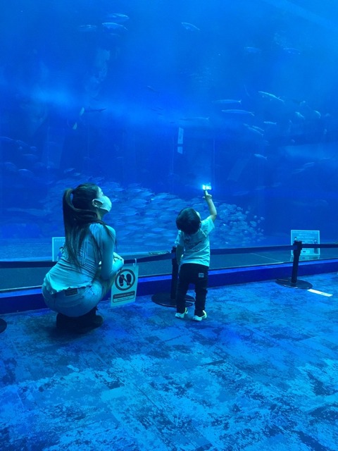 08CD2A14-C195-4F48-8021-C11FE78630C7