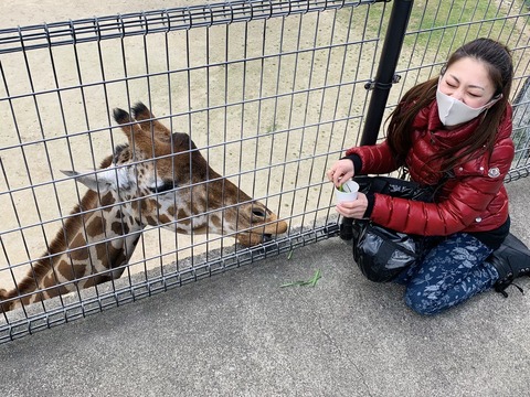 DF51AF69-0E01-4DDE-8F9C-501629908314