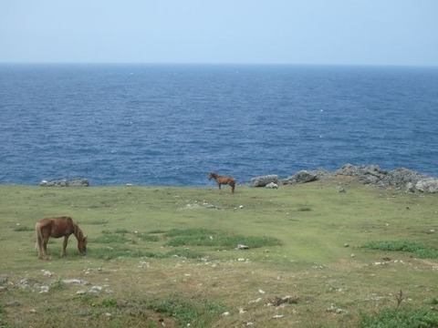 与那国島