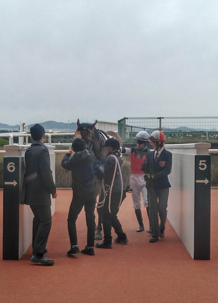 速報 う まなみ