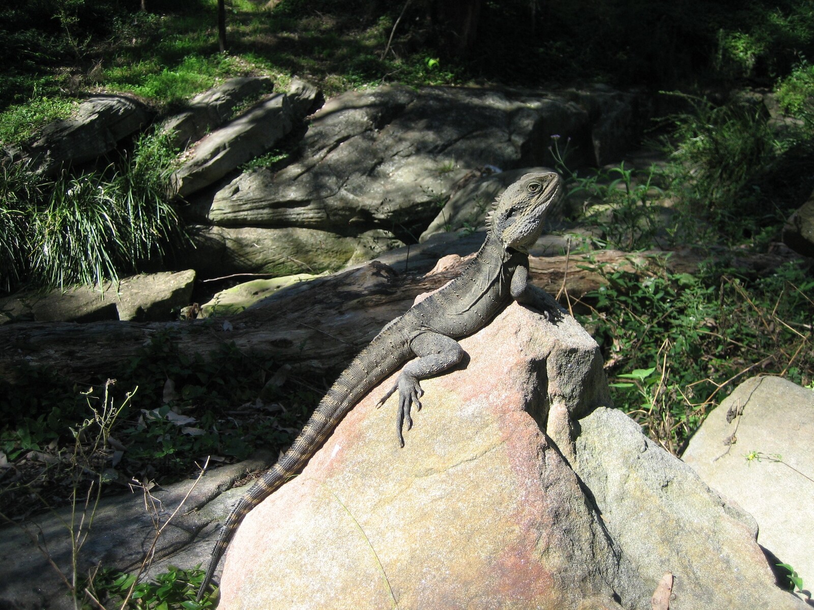 11年07月 思いがめぐる