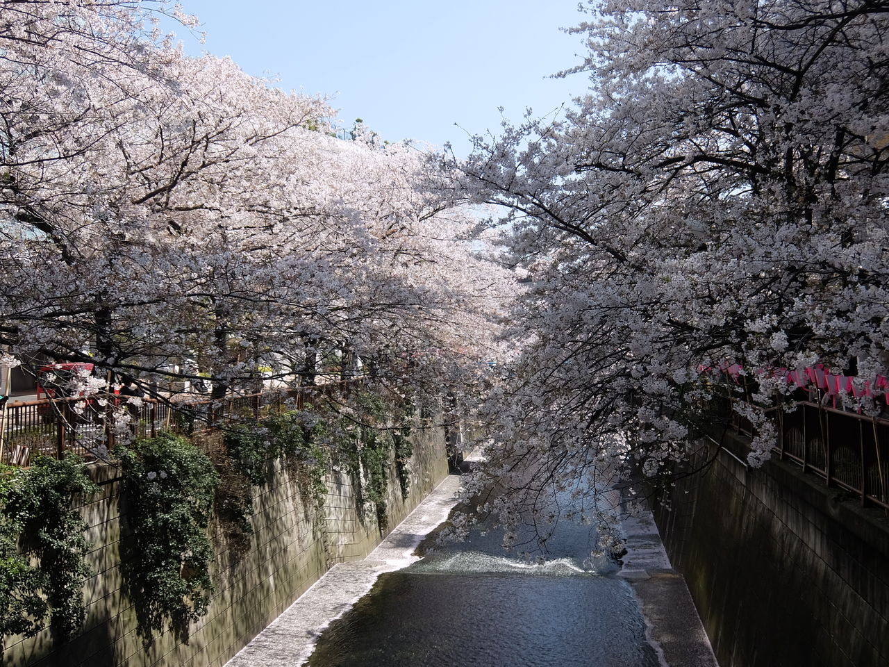 64 目黒川を遡る 池尻大橋 松陰神社 東京の街歩きのblog 64 目黒川を遡る 池尻大橋 松陰神社 東京の街歩きのblog