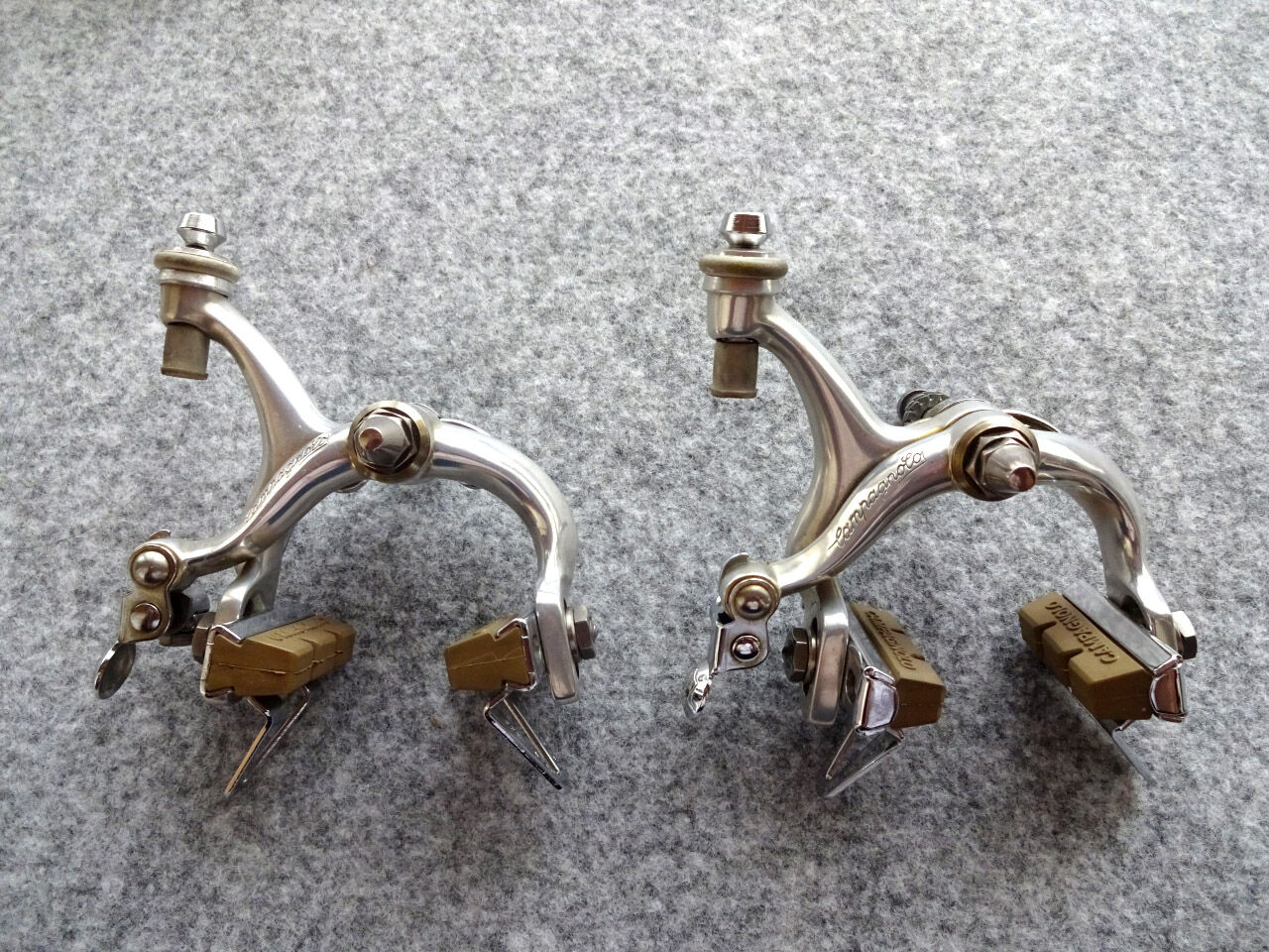 カンパニョーロ・ビクトリー : 完覇！超記録！！