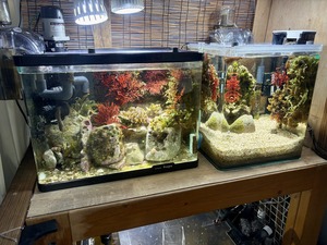 IMG_4547