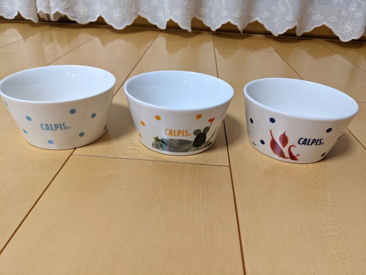 カルピスのおまけ＊レオ・レオニズフレンズコラボのボウル : Y home