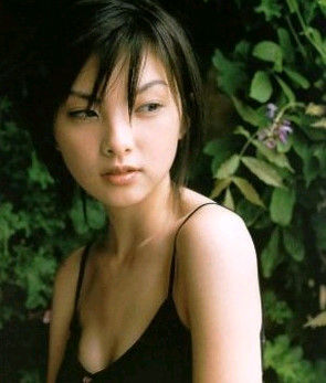 田中麗奈と高橋一生の交際が決め手となった証拠255