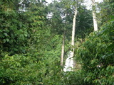 DSC00074