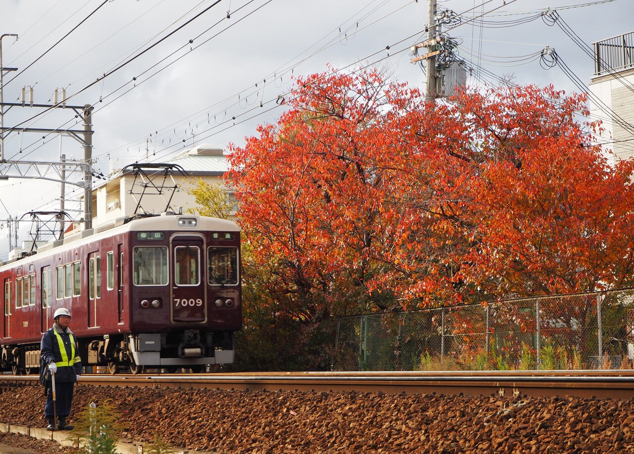 桜紅葉が美しい阪急電車神戸線武庫之荘 伊丹急行電鉄の夢ブログ
