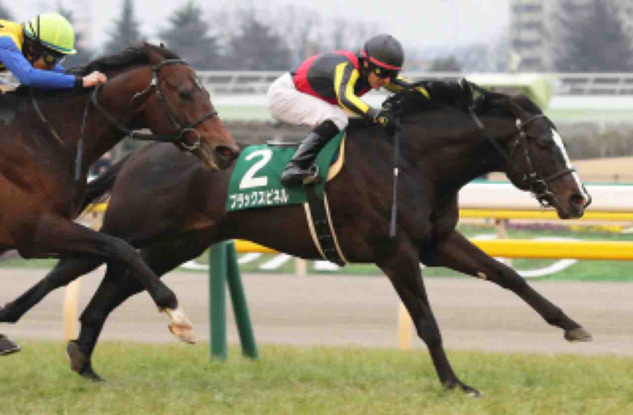 BOSS猿のアナログ肉眼競馬
	  東京新聞杯2018 展望【出走予定馬と予想オッズと展開予想・現時点の本命候補◎】と【川崎記念2018の本命候補◎】
	コメント