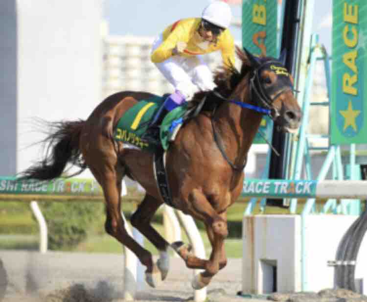 BOSS猿のアナログ肉眼競馬
	  【かしわ記念2019予想】