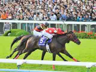 阪急杯 中山記念予想 Boss猿のアナログ肉眼競馬