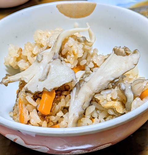 PXL_20251004_084805512~2