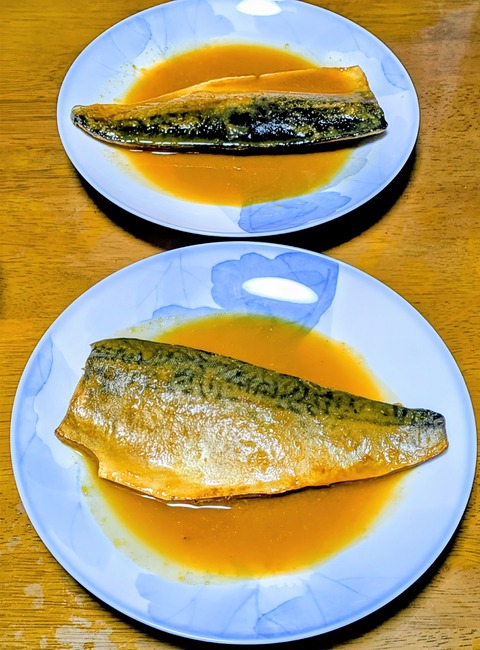 PXL_20251004_084652521~2