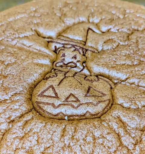 PXL_20251015_102317984~2