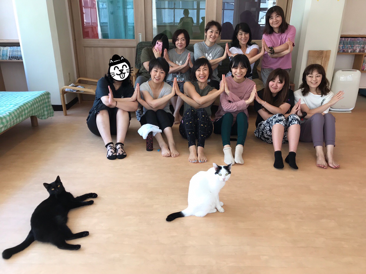 猫式yoga 9月 今日もありがとうございました 仔猫のデビュー Kedarake 猫との暮らしは素敵なことだらけ