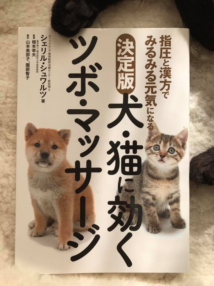 温灸やツボ押しに お勧め本 決定版 犬 猫に効くツボ マッサージ 指圧と漢方でみる Kedarake 猫との暮らしは素敵なことだらけ 温灸やツボ押しに お勧め本 決定版 犬 猫に効くツボ マッサージ 指圧と漢方でみる Kedarake 猫との暮らしは素敵なことだらけ