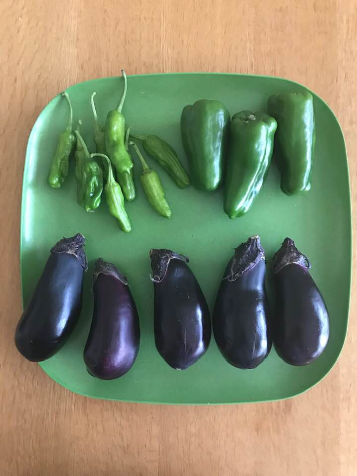 recipe＊ナスとピーマンのピーナッツ浸し : kedarake 猫との暮らしは 