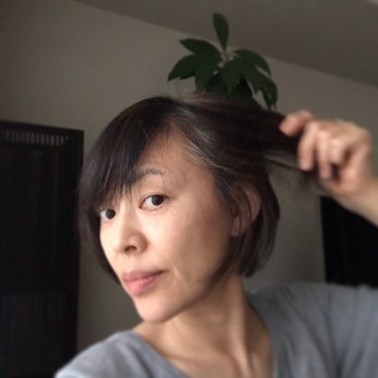 白髪染めやめました Kedarake 猫との暮らしは素敵なことだらけ