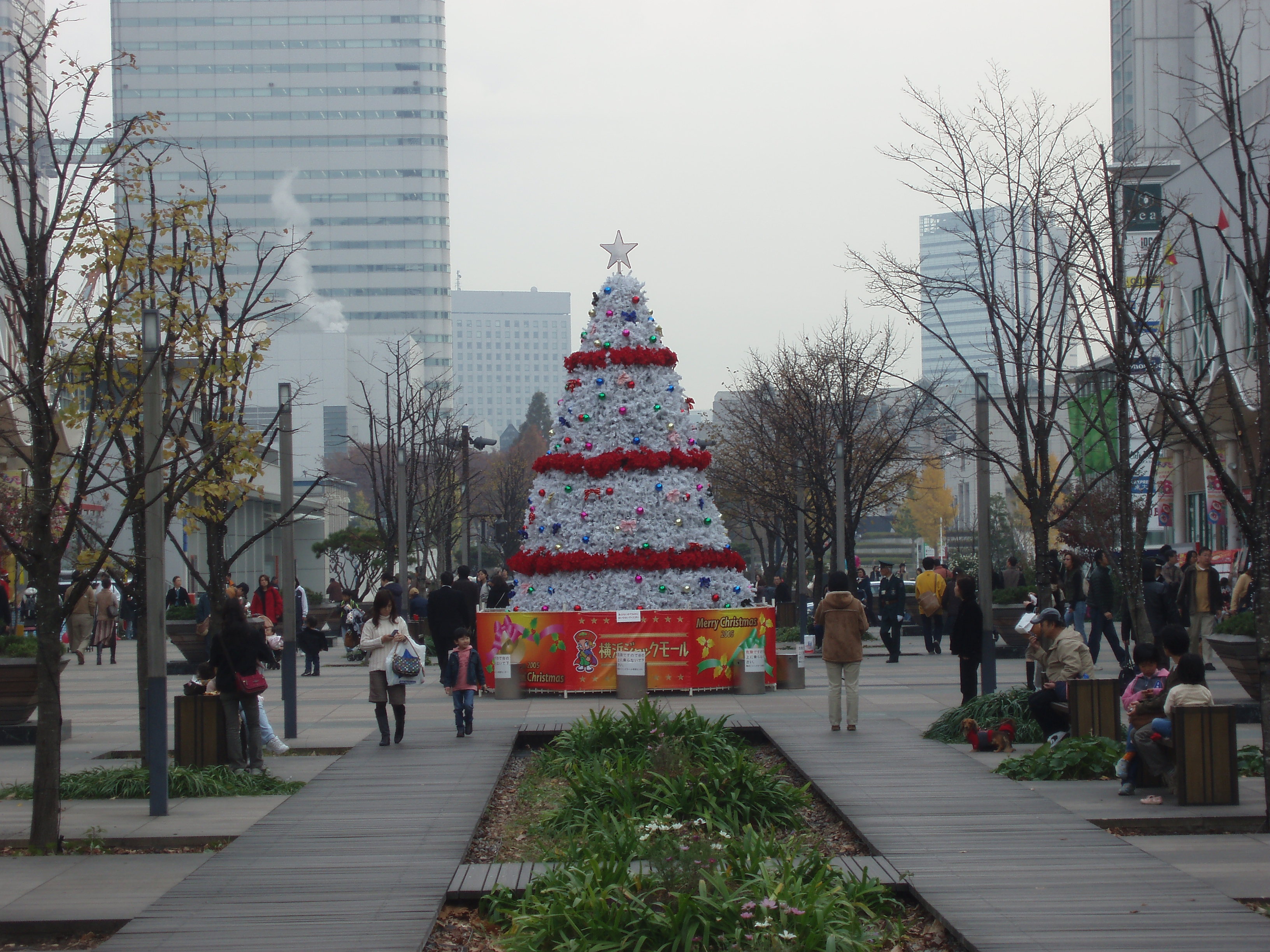 ジャックモール Koji S Blog