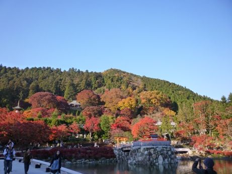 勝尾寺の紅葉 サラリーマン時々自由人 勝尾寺の紅葉 サラリーマン時々自由人