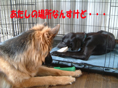 室内で1