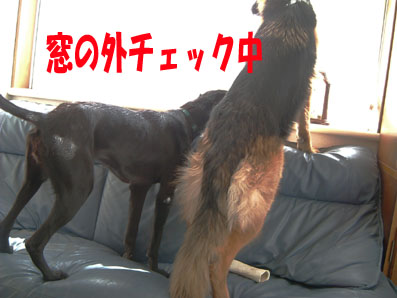室内で5