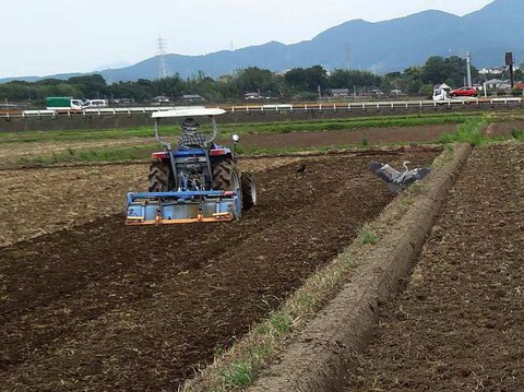 田植え９