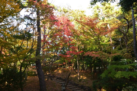 平塚公園３