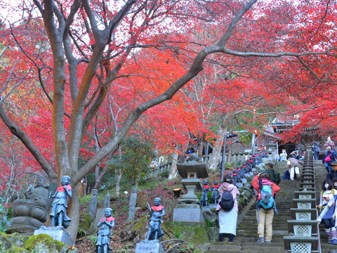 大山寺５