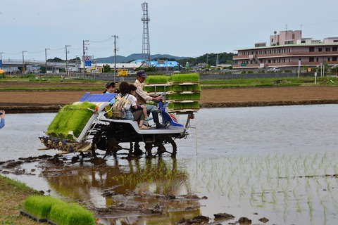 田植５