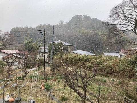 雪が降る