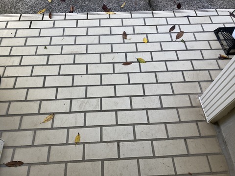 台風が過ぎた翌朝