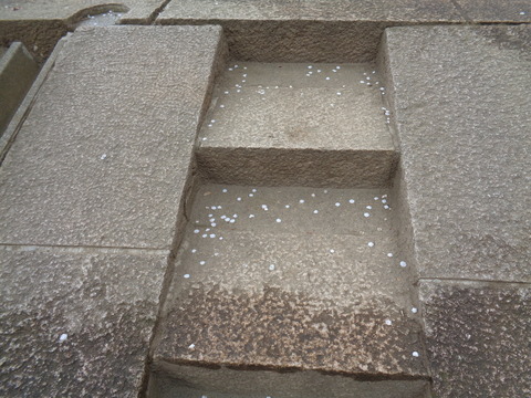 花びらだけは残して