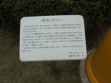 黄色いポストの解説