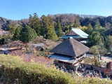 龍隠庵の庭から（長島和夫さん提供）