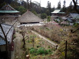 龍隠庵から円覚寺境内を見る