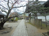 橘寺