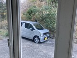 キジが車の屋根に