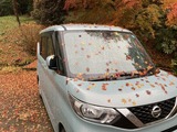車も枯葉でラッピング