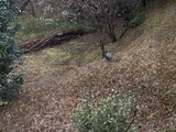 警戒しながら