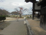橘寺