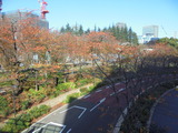 ミッドタウン